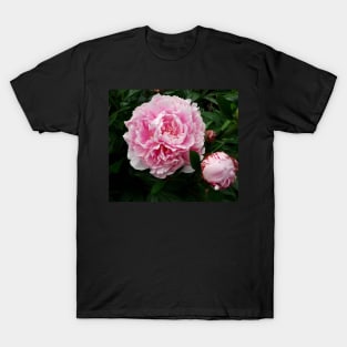 peony T-Shirt